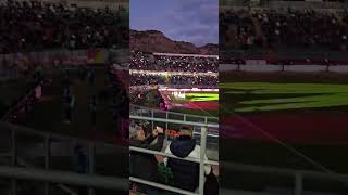 Palermo Sampdoria 24112024 [upl. by Norramic155]