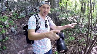 BEAR ENCOUNTER ON APPALACHIAN TRAIL [upl. by Phillane824]