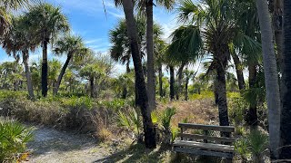 Return to Caladesi Island and the Scharrer Homestead [upl. by Atsilac]