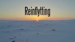 Reinflytting short version [upl. by Dnumsed764]