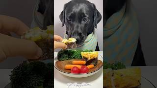 Dinner Time puppy dog dogfood shorts shortsvideo youtubeshorts [upl. by Ardnasela]