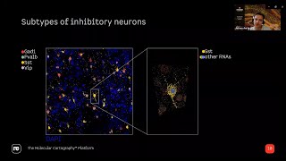 Spatial Biology Webinar Subcellular Spatial amp Contextual Transcriptomics  Dr Jeroen Aerts [upl. by Dasteel551]