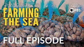 Farming the Sea  Full Episode [upl. by Gottwald921]