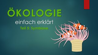 5 Symbiose  ÖKOLOGIE einfach erklärt [upl. by Anelaj]