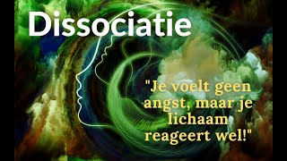 PTSS en dissociatie Je voelt geen angst maar je lichaam reageert wel heftig [upl. by Starlene]