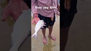 দীঘা সমুদ্র থেকে ধরলেন জেন্ত ইলিশ মাছ 🐟রেখেছেন পকেটে🐠এখন দেখছি ইলিশ খুব কাছে Digha ilish fishing [upl. by Kelcie]