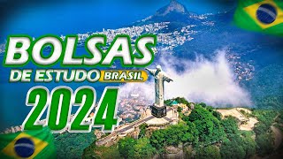 Tudo sobre as Principais Bolsas de Estudo no Brasil  2023 2024 [upl. by Schiro]