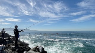 Peaceful Redondo Beach Breakwater Fishing [upl. by Pavlov]