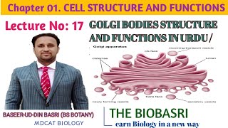 GOLGI BODIES STRUCTURE AND FUNCTIONSIN URDU HINDI  GOLGI APPARATUS [upl. by Anifur]