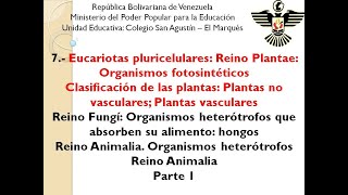 7 Eucariotas pluricelulares Reino Plantae [upl. by Eimma]