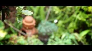 Sony NEX6 with Olympus OM Zuiko 50mm f18 lens footage [upl. by Eiramassenav850]