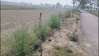 32बीघा का फार्म दो रोड से लगा बिकाऊ हैं 1 लाख 10 हजार प्रति बीघा में agriculture land for sale [upl. by Marijn131]