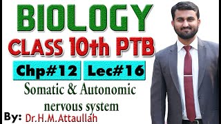 Somatic and Autonomic nervous system  Chapter  12  Biology Class 10th  Lec 16 [upl. by Chambers]