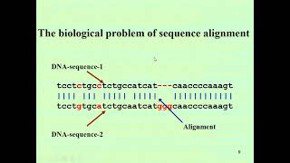 Local and Global sequence alignment 12 by Dr Sheikh Arslan Sehgal 27042021 [upl. by Llebyram]