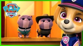 Ultimate Rescue PAW Patrol Saves the Royal Kitties and More  PAW Patrol  Cartoons for Kids [upl. by Suhsoj]