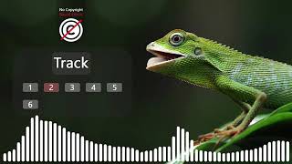 6 LIZARD SOUND EFFECTS  LIZARD NOISES  MONITOR LIZARD SOUND [upl. by Etna635]