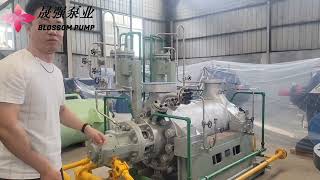 API610 Bb5 Oil Line Petroleum Pipeline Transfer and Injection Oil chemical Process Refinery Pump [upl. by Whatley]