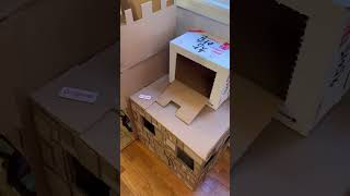 Homemade Cardboard Cat Castle for Benji spoiledcat bengalcat DIY [upl. by Akirret942]