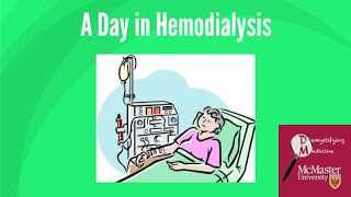 A day in hemodialysis [upl. by Fortunio]