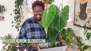 Unlock the Secrets Philodendron Gloriosum Care Guide [upl. by Ruskin]