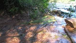 le petit lac de carqueiranne [upl. by Foss]