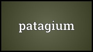 Patagium Meaning [upl. by Laurent]