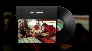 Crosby Stills amp Nash – Cathedral Vinyl Visualizer [upl. by Gabrielson969]