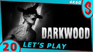 Darkwood 20 [upl. by Hertz]