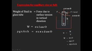 Capillarity [upl. by Faux]