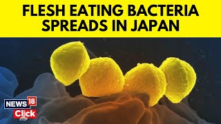 Japan News  Rare Bacteria That Can Kill In 48 Hours Is Spreading  Explained What Is STSS  G18V [upl. by Meenen]