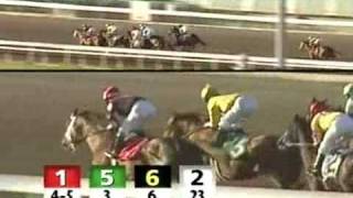 FAIR GROUNDS 20090129 Race 10 [upl. by Llib352]