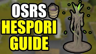 OSRS Hespori Guide  Quick Guide [upl. by Xanthus673]