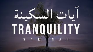 AYAT OF TRANQUILITY  SAKINAH أيات السكينة لدفع الهموم [upl. by Means]