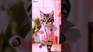 Cat dance Cute kitten 🖤 catlovecats cats catvideos kittenscatlover princesscat kitten [upl. by Itsirhc]