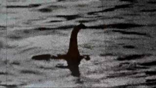 Nessies Most Famous Sightings and Stories Uncovering the Loch Ness Monster nessie mystery [upl. by Ennaitsirk377]