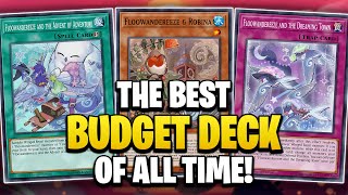 Floowandereeze is the BEST BUDGET deck ever Heres Why [upl. by Ful]