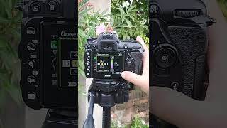 Nikon D7500 Camera White Balance Settings  Nikon Camera Colour Settings shorts nikon photography [upl. by Enelhtac]