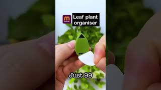 Leaf plant organiser youtubeshorts meeshofinds viralvideo [upl. by Hildebrandt607]