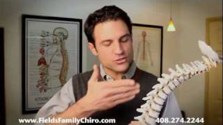 The Pettibon System for Chiropractic Care [upl. by Anyahc]