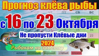 Прогноз клева рыбы на неделю с 16 по 23 Октября Прогноз клева Лунный календарь рыбака [upl. by Lonni199]