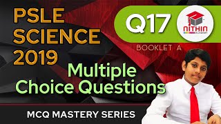 PSLE SCIENCE 2019 BOOKLET A  MCQ Mastery Series  Q17 [upl. by Roose]