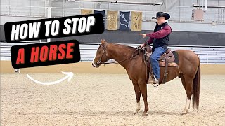 How To Stop A Horse [upl. by Hbahsur]