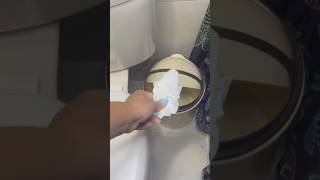 The Toilet Paper Myth Is It Safe to Flush toiletpaper flush homehacks ecofriendly [upl. by Charron]