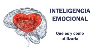 Inteligencia Emocional qué es y cómo utilizarla [upl. by Irovi339]