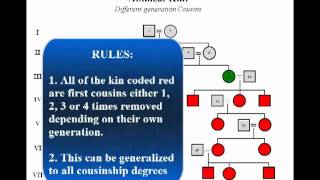 Kinship Relationships Identification and Classification [upl. by Amle]