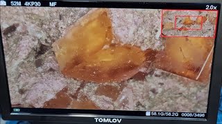 Identifying Crystals With The Tomlov 4K Microscope [upl. by Mortensen157]