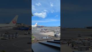 ✈️Honolulu Airport✈️ airport beauty hawaii honolulu aviation avgeek shorts viral fypシ゚viral [upl. by Burtis]