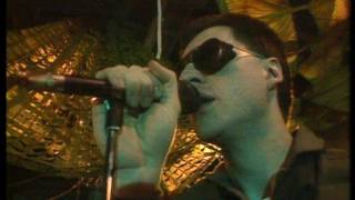 Front 242  No Shuffle Live 1985 [upl. by Barbee616]