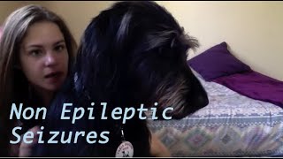 PNES Non Epileptic Seizures What is itMy story [upl. by Zetniuq]