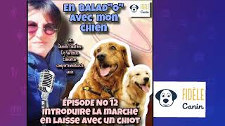 EN BALADquotOquot AVEC MON CHIEN Épisode no 12 Introduire la marche en laisse avec un chiot [upl. by Mandeville]